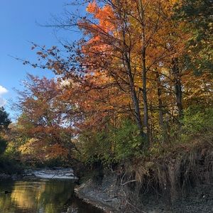 Meet your Posher, Hadisa